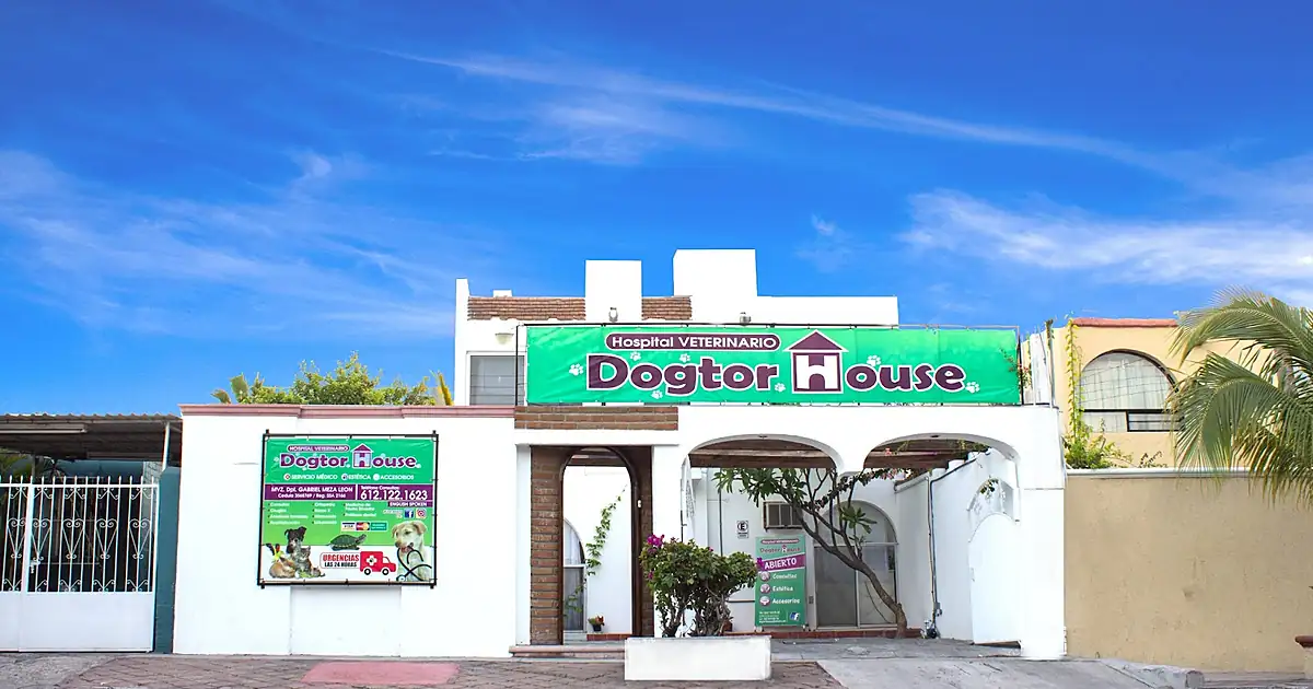 Hospital Veterinario Dogtor House