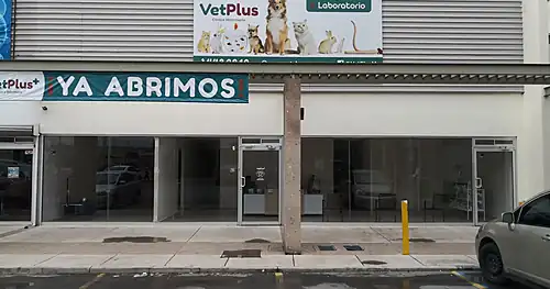 VetPlus Clinica Veterinaria, veterinario en Chihuahua, Chihuahua