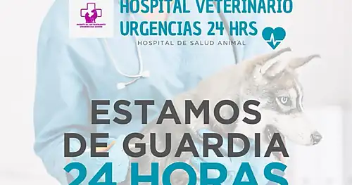 Hospital veterinario urgencias 24hrs, veterinario en Chihuahua, Chihuahua