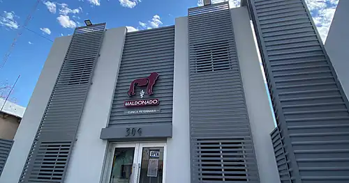 Clínica Veterinaria Maldonado, veterinario en Piedras Negras, Coahuila
