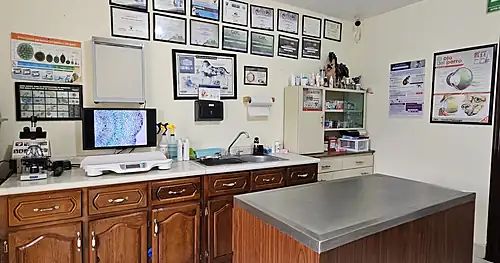 Veterinaria Sneider, veterinario en Piedras Negras, Coahuila