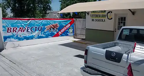 Consultorio Veterinario del Dr Casasola, veterinario en Piedras Negras, Coahuila