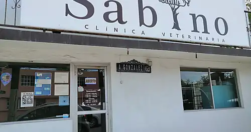 Clínica veterinaria Sabino, veterinario en Piedras Negras, Coahuila