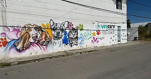 Veterinaria VETCARE, veterinario en Piedras Negras, Coahuila
