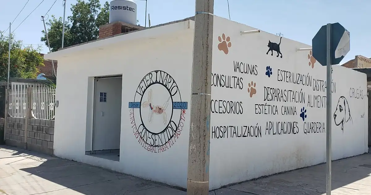 Veterinario Con-Sentido