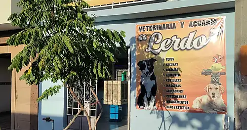Veterinaria y Acuario «Lerdo», veterinario en Lerdo, Durango