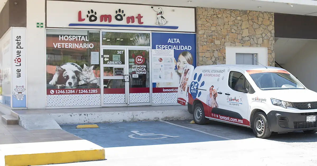 Hospital Veterinario Lomont Rioja (Cardiologia, Oncologia, Oftamologia, Dermatologia, Ortopedia, tomografia Veterinaria)