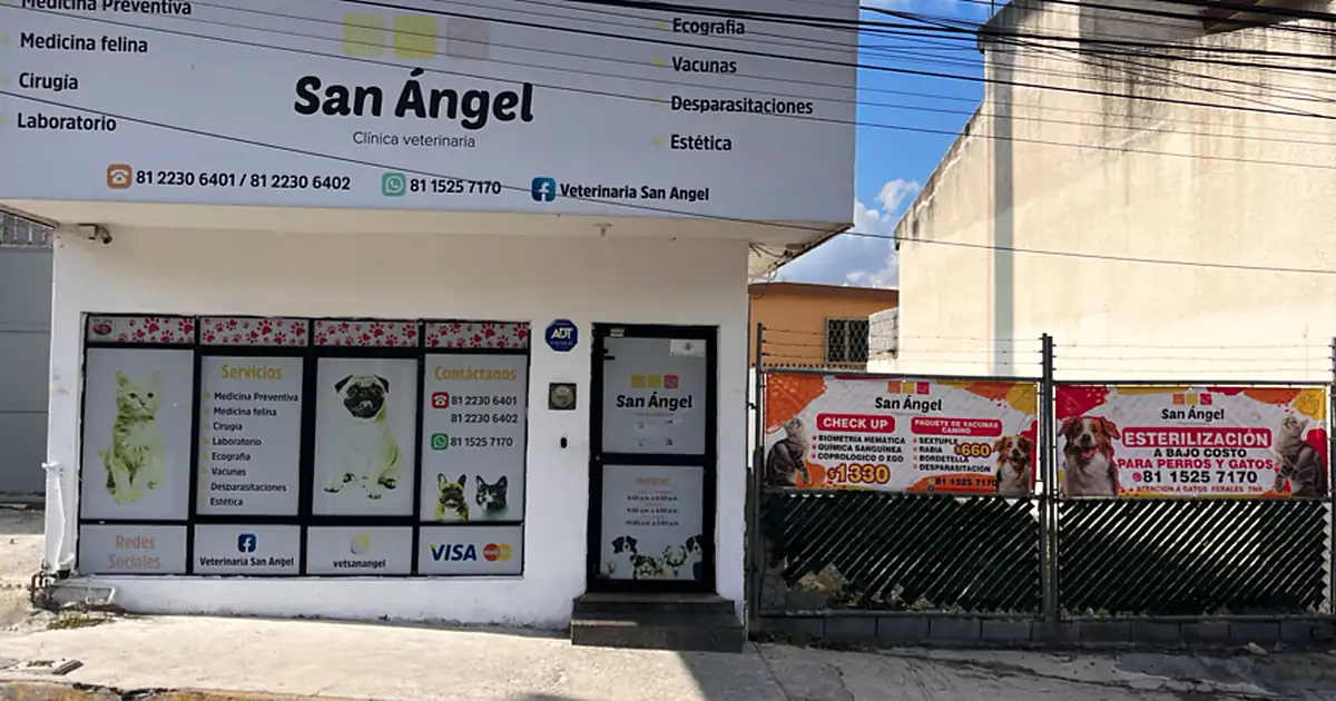 Veterinaria San Ángel