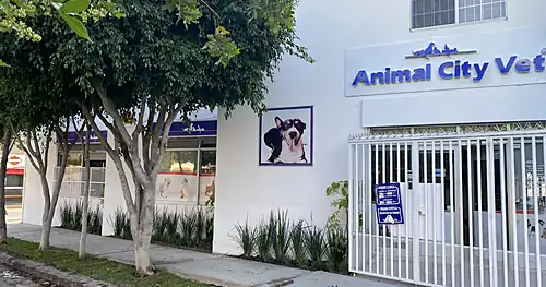 Hospital Veterinario Animal CityVet, veterinario en San Luis Potosí, San Luis Potosí