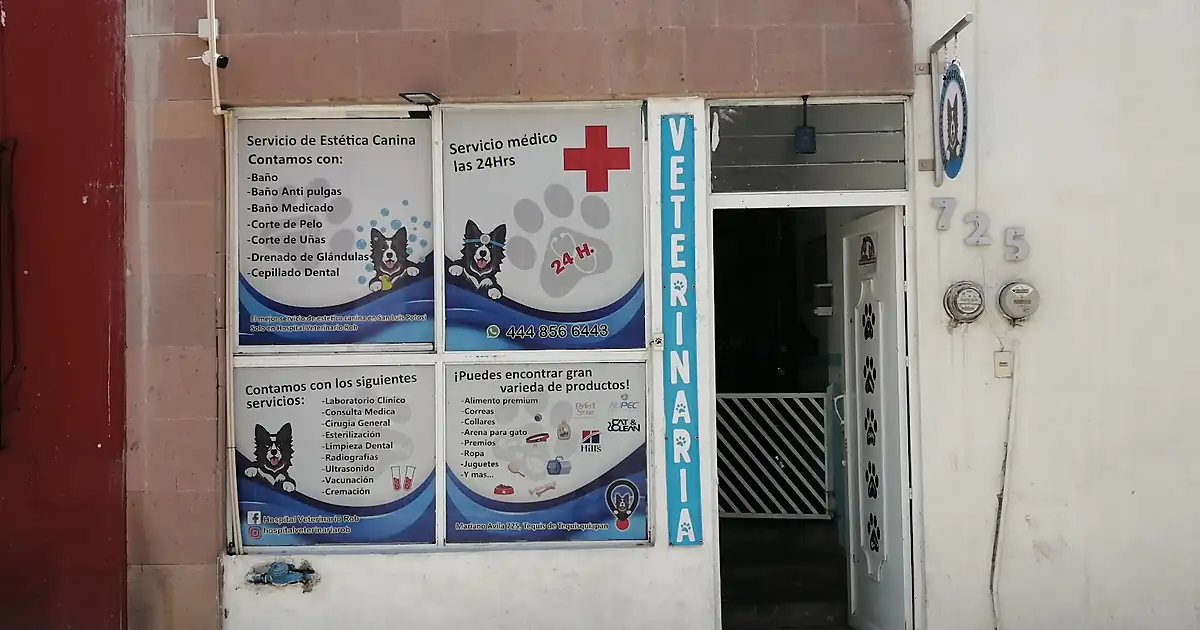 Hospital Veterinario Rob