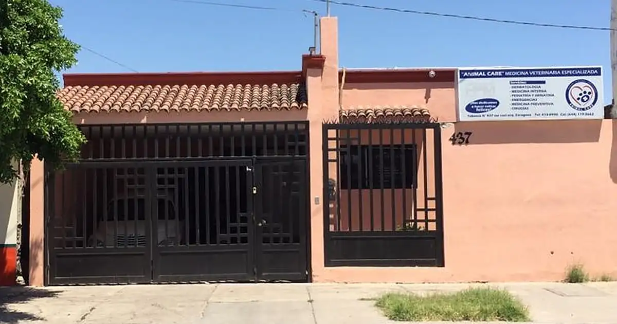 Animal Care Medicina Veterinaria Especializada