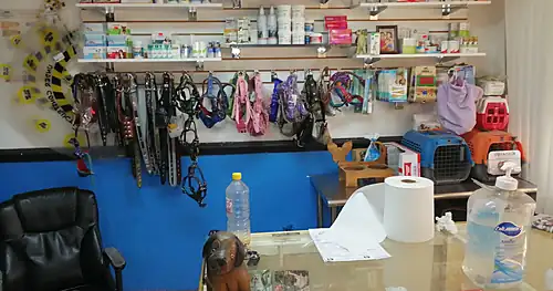 CLÍNICA VETERINARIA SAN ANTONIO ABAD, veterinario en Hermosillo, Sonora