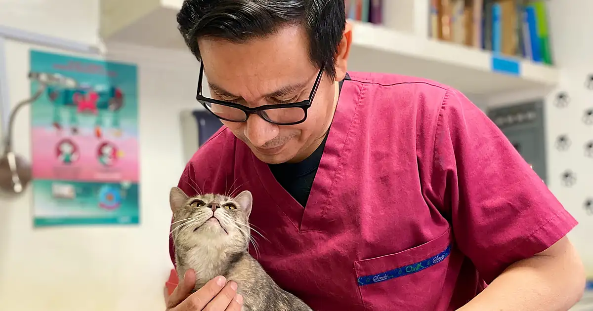 Monzalvo Hospital Veterinario Morelos