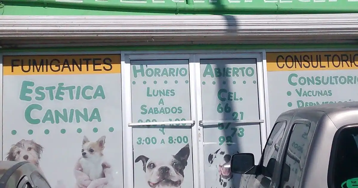 MÉDICO VETERINARIO Dr Sergio Toruga León