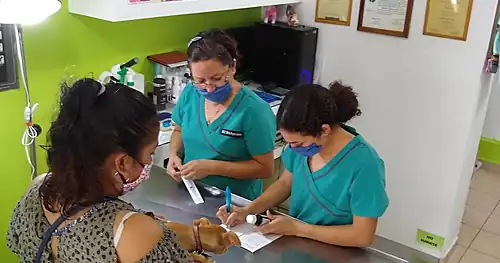 Veterinaria en Altamira Medivetz La florida, veterinario en Altamira, Tamaulipas