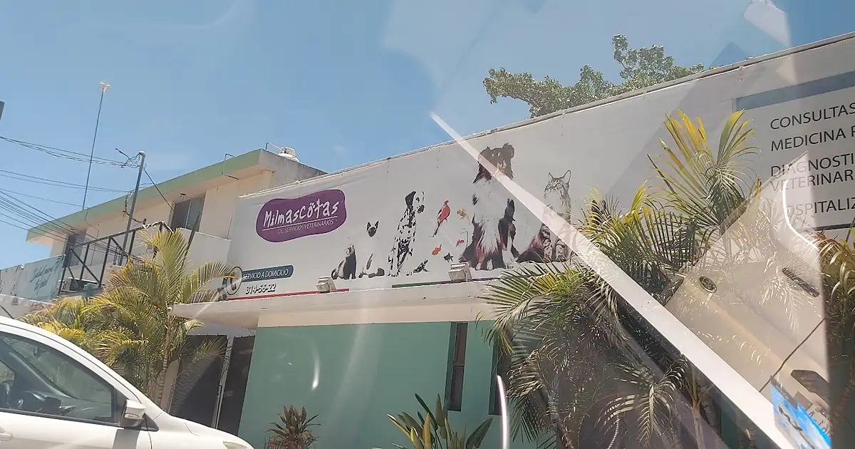 Milmascotas Centro de Servicios Veterinarios