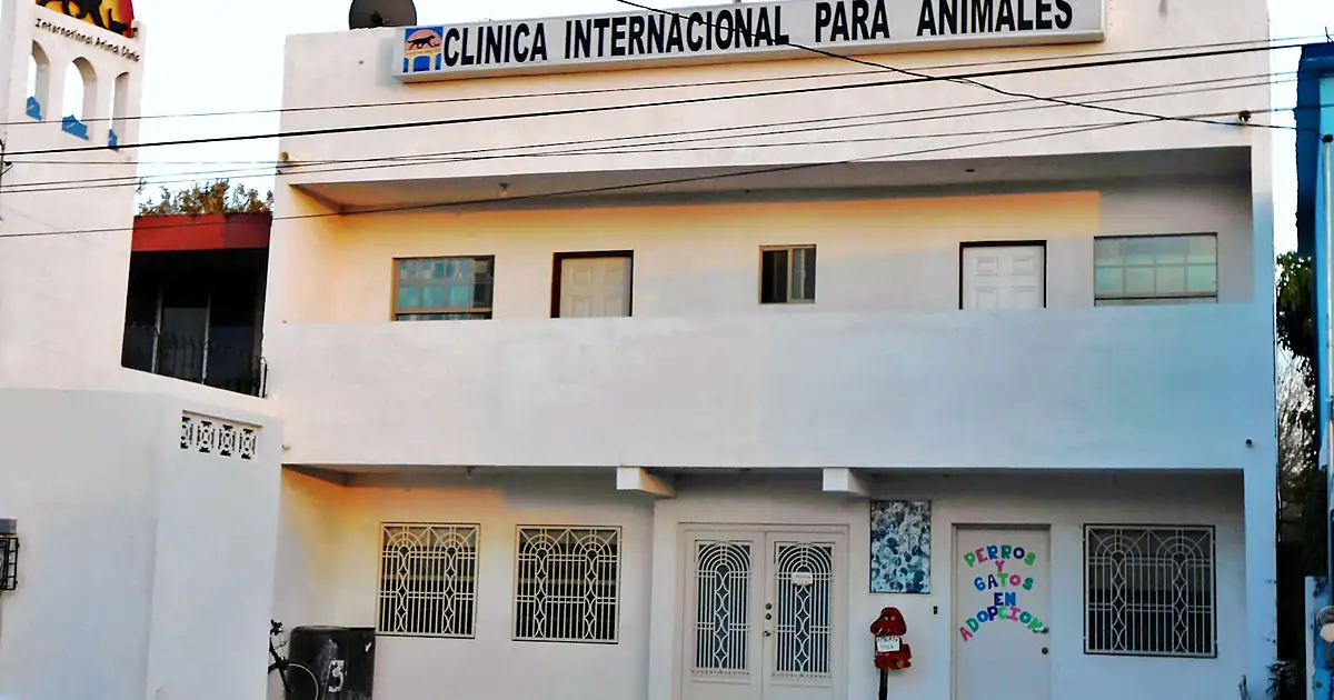 Clínica Internacional Para Animales