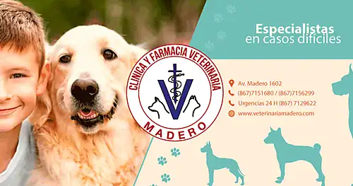 Veterinaria Madero, veterinario en Nuevo Laredo, Tamaulipas