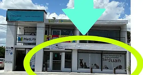 Clínica Veterinaria de Especialidades San Juan, veterinario en Reynosa, Tamaulipas