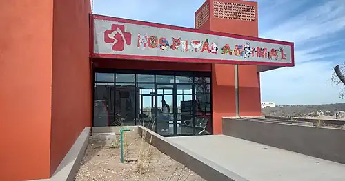 Hospital Veterinario Municipal, veterinario en Reynosa, Tamaulipas