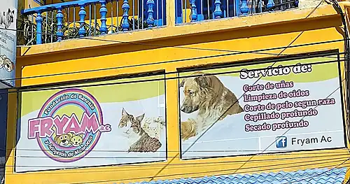 Fryam, veterinario en Reynosa, Tamaulipas