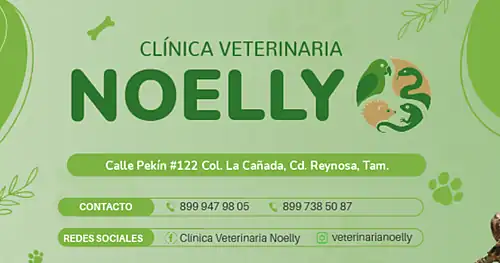 Servicios Clínicos y Estéticos Veterinarios Snoopy, veterinario en Reynosa, Tamaulipas