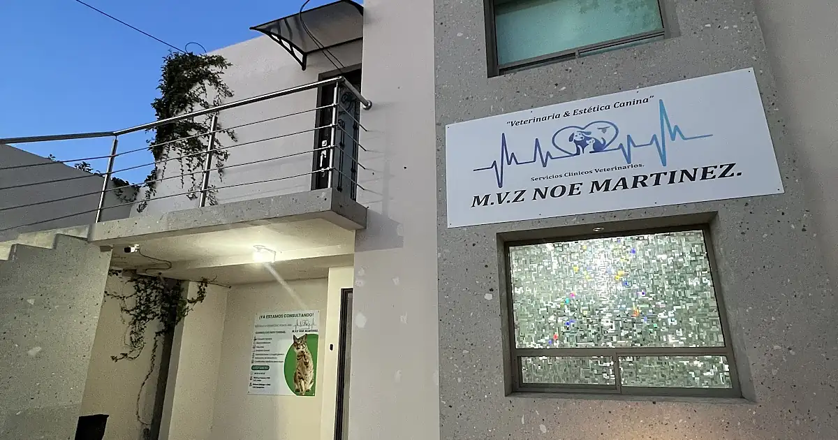 Veterinaria & Estética Canina MVZ Noé Martinez