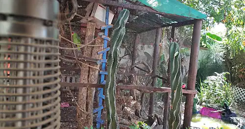Veterinaria Garvet, veterinario en Tampico, Tamaulipas