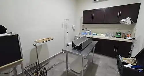 Clínica Veterinaria Municipal, veterinario en Tampico, Tamaulipas