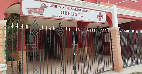 Unidad de Salud Animal Obelisco (Veterinaria), veterinario en Tampico, Tamaulipas