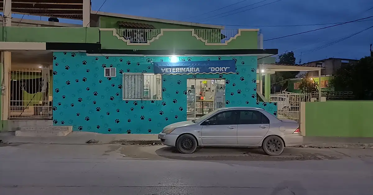 Veterinaria Doky (Consultorio Veterinario Fernández)