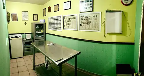 Luceca’s Veterinaria, veterinario en Ciudad Madero, Tamaulipas