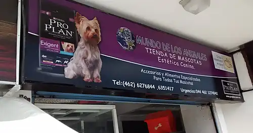 Hospital Veterinario Angeles, veterinario en Irapuato, Guanajuato