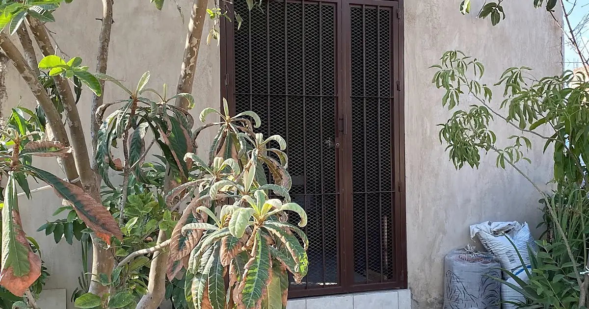 Veterinaria San Lázaro