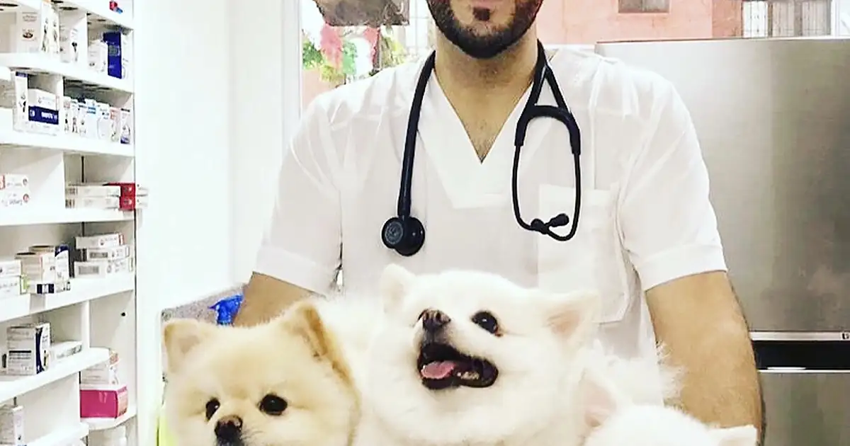 Pet Friends Veterinary Hospital