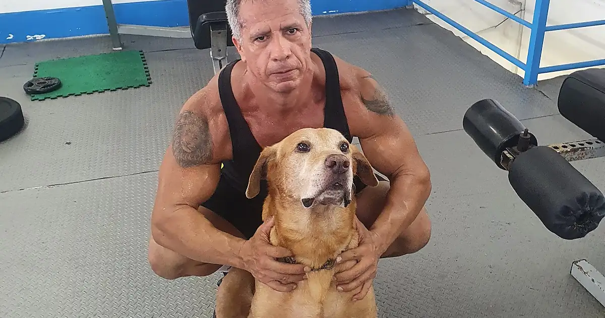 Veterinaria El Galgo y El Pastor
