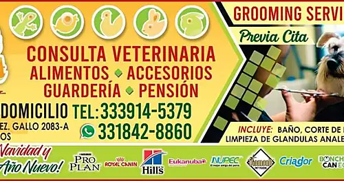 Veterinaria Mosaic pet, veterinario en Tlaquepaque, Jalisco