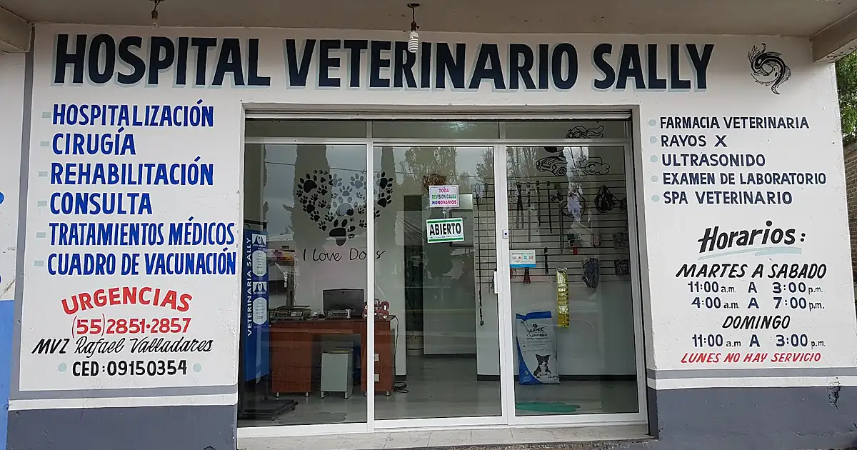 Hospital Veterinario Sally