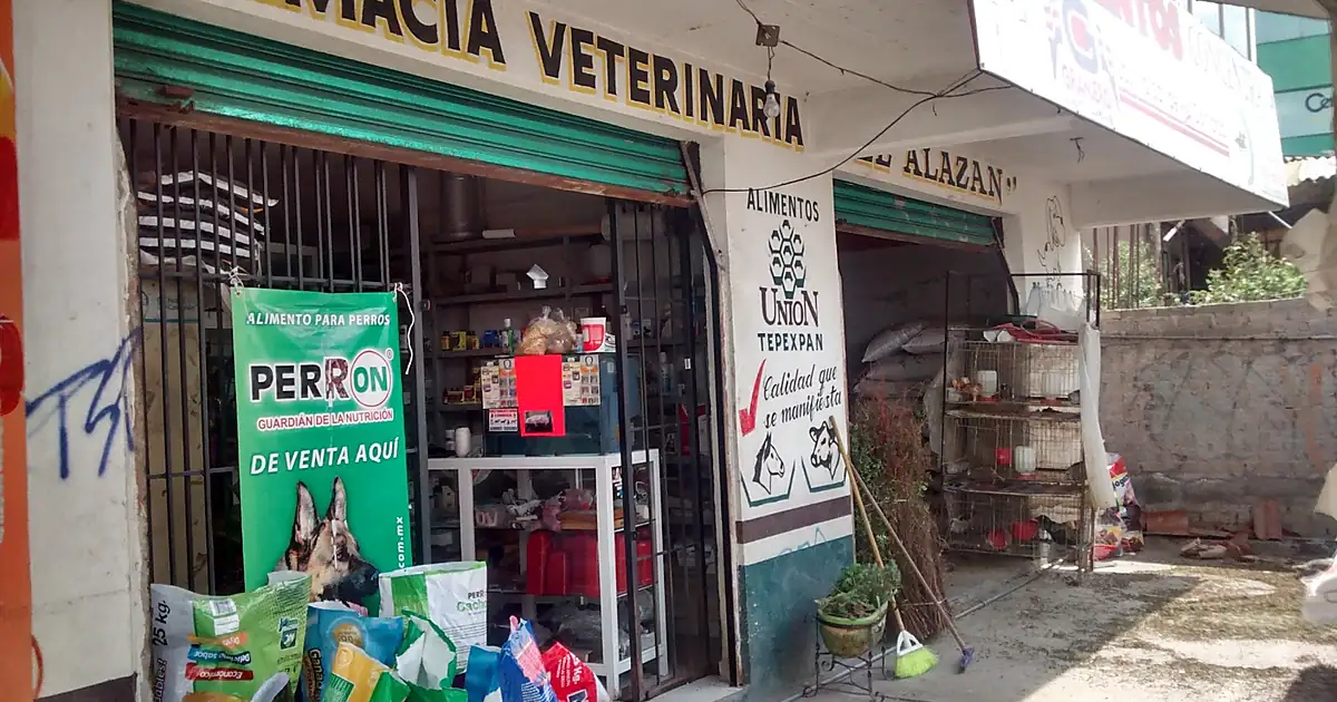 EL ALAZAN