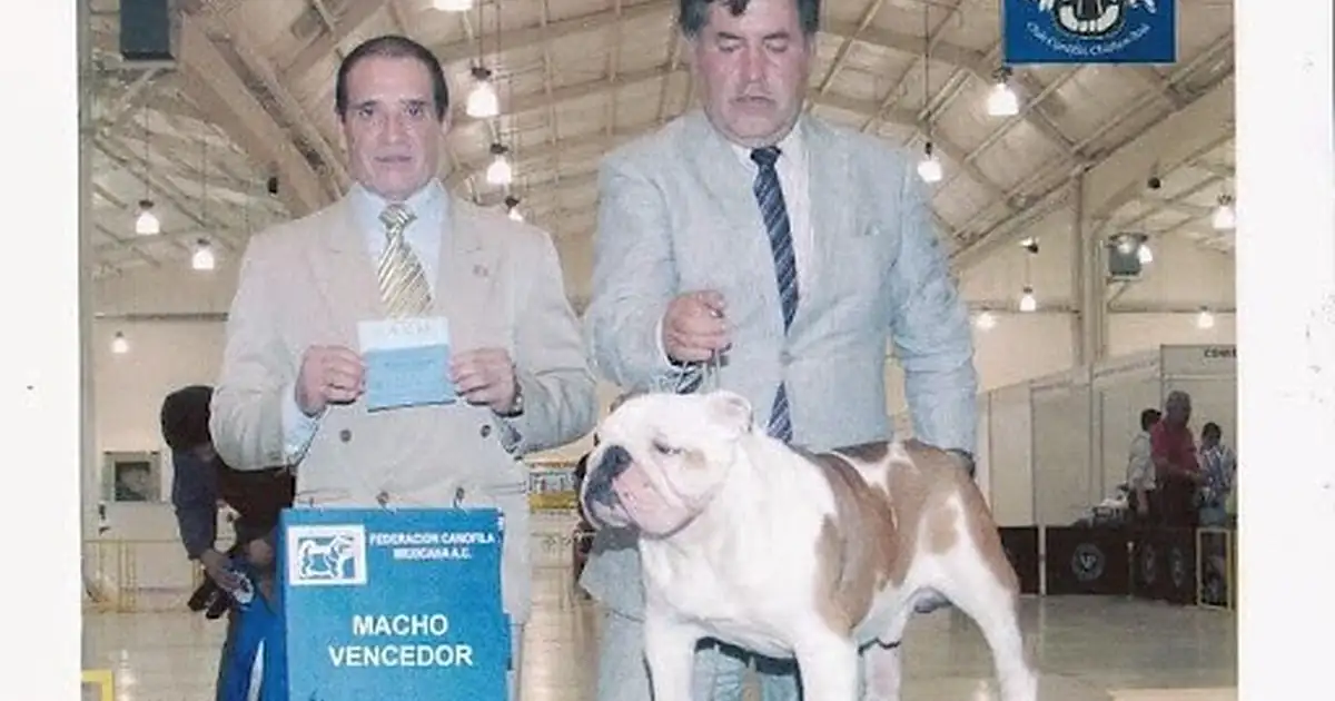 CLÍNICA VETERINARIA ANUBIS