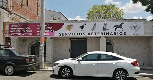 Star Vet, veterinario en Corregidora, Querétaro