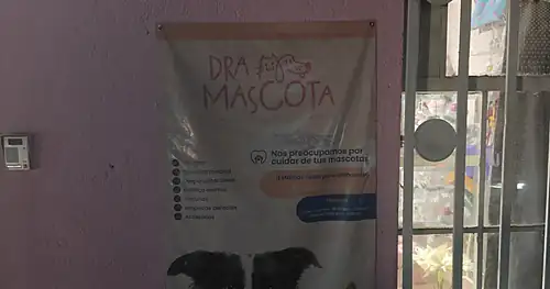 Doctor Pet, veterinario en Corregidora, Querétaro
