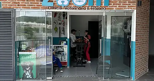 Animal Zoom, veterinario en El Marqués, Querétaro