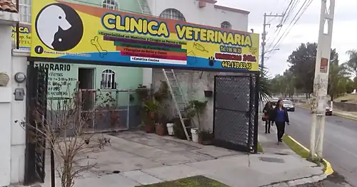Clínica Veterinaria Pequeñas Servicio Especializado, veterinario en Corregidora, Querétaro