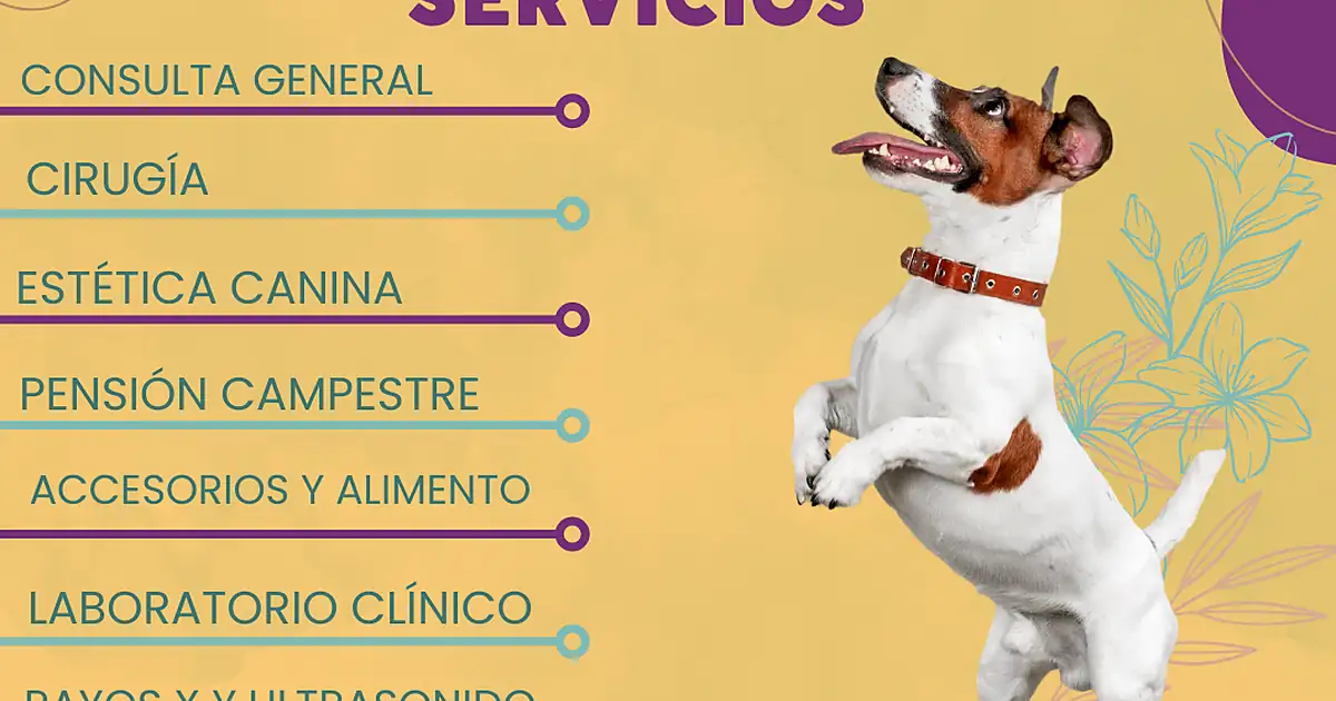 Punto Mascota Punta Victoria