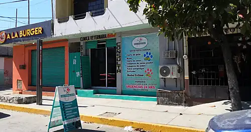 Clínica veterinaria Madrid, veterinario en Acapulco, Guerrero