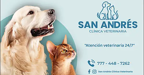 San Andrés Clínica Veterinaria, veterinario en Emiliano Zapata, Morelos