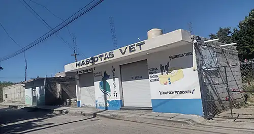 Mascotas veterinara, veterinario en Apizaco, Tlaxcala