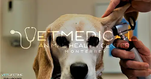 Vet Medical Animal Health Mty, veterinario en Coatzacoalcos, Veracruz