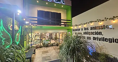 Clínica veterinaria Vet’s Friends, Dra. Angeles, veterinario en Córdoba, Veracruz